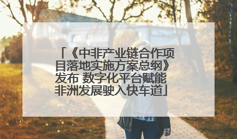 《中非产业链合作项目落地实施方案总纲》发布 数字化平台赋能非洲发展驶入快车道