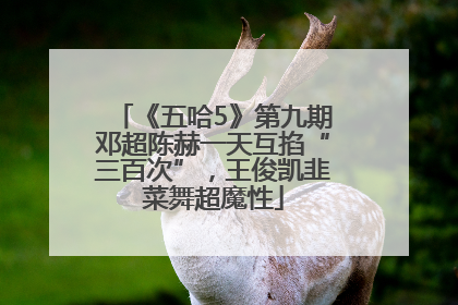 《五哈5》第九期邓超陈赫一天互掐“三百次”，王俊凯韭菜舞超魔性