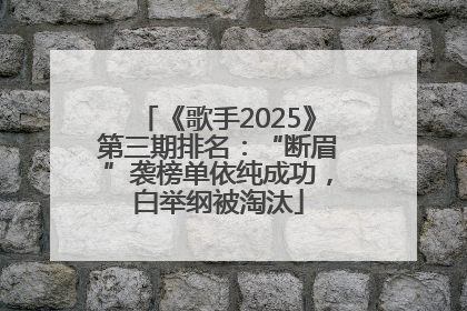 《歌手2025》第三期排名：“断眉”袭榜单依纯成功，白举纲被淘汰