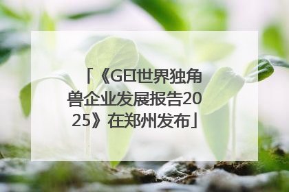 《GEI世界独角兽企业发展报告2025》在郑州发布