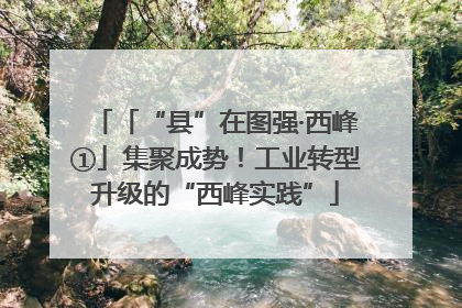 「“县”在图强·西峰①」集聚成势！工业转型升级的“西峰实践”