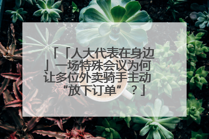 「人大代表在身边」一场特殊会议为何让多位外卖骑手主动“放下订单”？