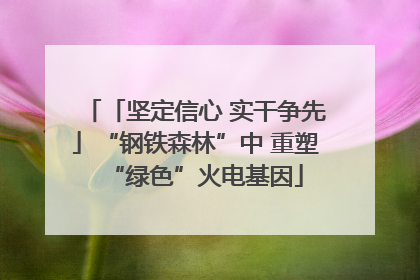 「坚定信心 实干争先」“钢铁森林”中 重塑“绿色”火电基因