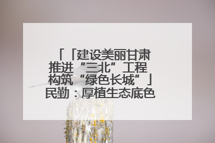 「建设美丽甘肃 推进“三北”工程 构筑“绿色长城”」民勤：厚植生态底色 筑牢绿色屏障