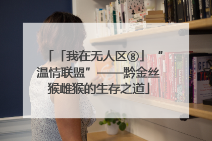 「我在无人区⑧」“温情联盟”——黔金丝猴雌猴的生存之道