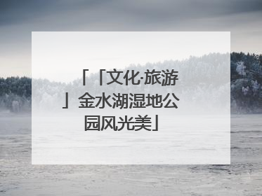 「文化·旅游」金水湖湿地公园风光美