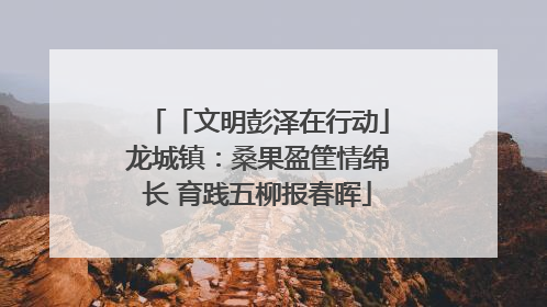 「文明彭泽在行动」龙城镇：桑果盈筐情绵长 育践五柳报春晖