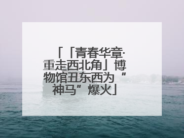 「青春华章·重走西北角」博物馆丑东西为“神马”爆火