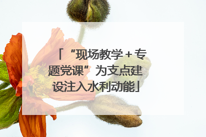 “现场教学＋专题党课”为支点建设注入水利动能