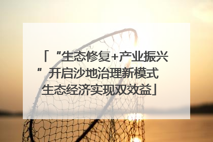 “生态修复+产业振兴”开启沙地治理新模式 生态经济实现双效益