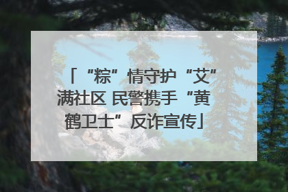 “粽”情守护“艾”满社区 民警携手“黄鹤卫士”反诈宣传