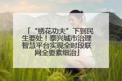 “绣花功夫”下到民生要处！泰兴城市治理智慧平台实现全时段联网全要素细治