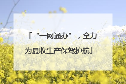 “一网通办”，全力为夏收生产保驾护航