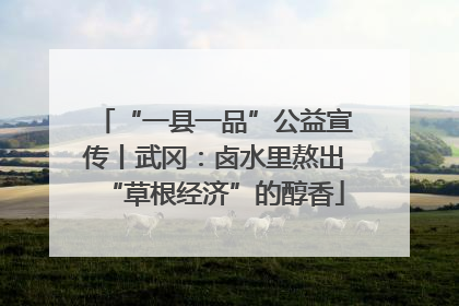 “一县一品”公益宣传丨武冈：卤水里熬出“草根经济”的醇香