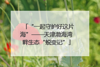 “一起守护好这片海”——天津渤海湾畔生态“蜕变记”