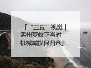 “三夏”视觉｜孟州麦收正当时 机械减损保归仓