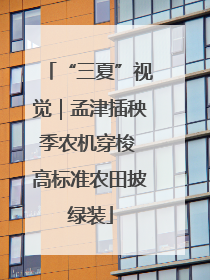 “三夏”视觉｜孟津插秧季农机穿梭 高标准农田披绿装