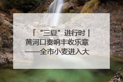 “三夏”进行时｜黄河口奏响丰收乐章——全市小麦进入大面积收获高峰期