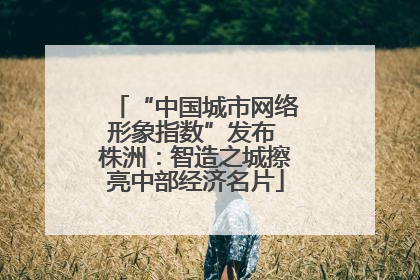 “中国城市网络形象指数”发布 株洲：智造之城擦亮中部经济名片