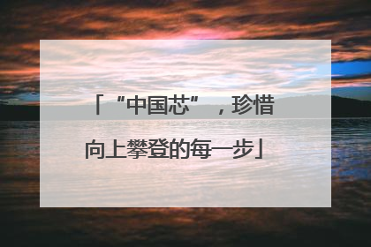 “中国芯”，珍惜向上攀登的每一步