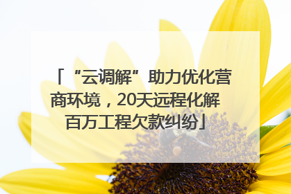 “云调解”助力优化营商环境，20天远程化解百万工程欠款纠纷