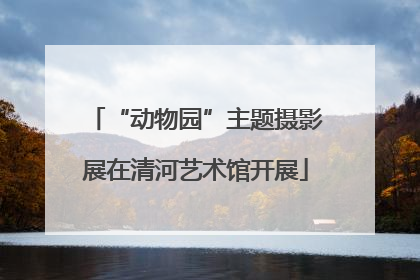 “动物园”主题摄影展在清河艺术馆开展