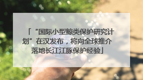 “国际小型鲸类保护研究计划”在汉发布，将向全球推介落地长江江豚保护经验