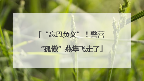 “忘恩负义”！警营“孤傲”燕隼飞走了