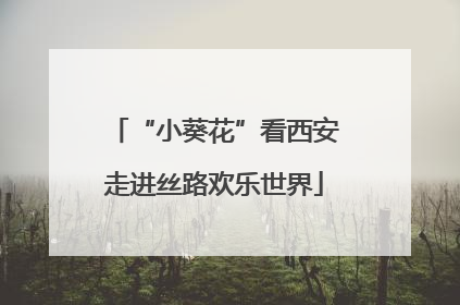 “小葵花”看西安走进丝路欢乐世界