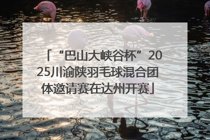 “巴山大峡谷杯”2025川渝陕羽毛球混合团体邀请赛在达州开赛