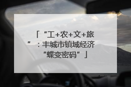 “工+农+文+旅”：丰城市镇域经济“蝶变密码”