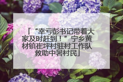 “幸亏彭书记带着大家及时赶到！”宁乡黄材镇崔坪村驻村工作队救助中暑村民