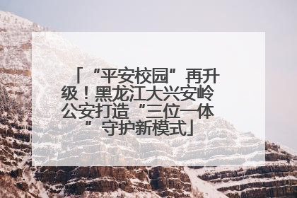 “平安校园”再升级！黑龙江大兴安岭公安打造“三位一体”守护新模式