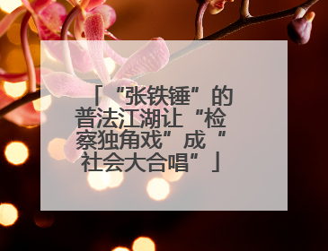 “张铁锤”的普法江湖让“检察独角戏”成“社会大合唱”