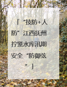 “技防+人防”江西抚州拧紧水库汛期安全“防御弦”