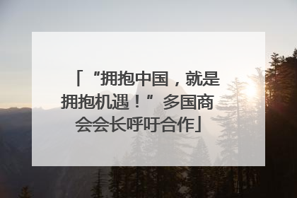 “拥抱中国，就是拥抱机遇！”多国商会会长呼吁合作