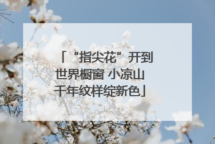 “指尖花”开到世界橱窗 小凉山千年纹样绽新色
