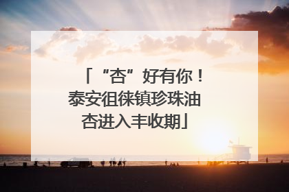 “杏”好有你！泰安徂徕镇珍珠油杏进入丰收期