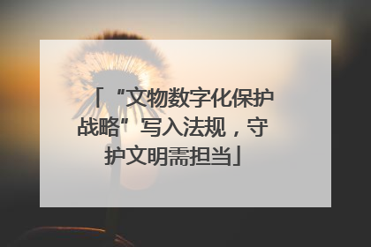 “文物数字化保护战略”写入法规，守护文明需担当