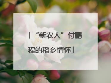“新农人”付鹏程的稻乡情怀