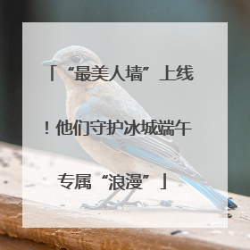 “最美人墙”上线！他们守护冰城端午专属“浪漫”