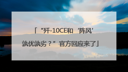 “歼-10CE和‘阵风’孰优孰劣？”官方回应来了