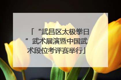 “武昌区太极拳日”武术展演暨中国武术段位考评赛举行