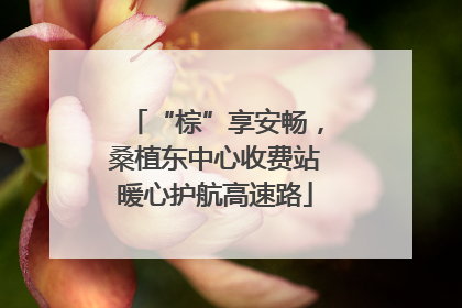 “棕”享安畅，桑植东中心收费站暖心护航高速路