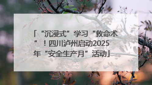 “沉浸式”学习“救命术”！四川泸州启动2025年“安全生产月”活动