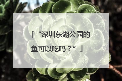 “深圳东湖公园的鱼可以吃吗？”