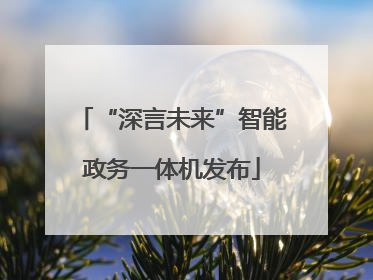 “深言未来”智能政务一体机发布