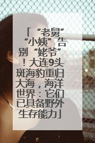 “老舅”“小姨”告别“姥爷”！大连9头斑海豹重归大海，海洋世界：它们已具备野外生存能力