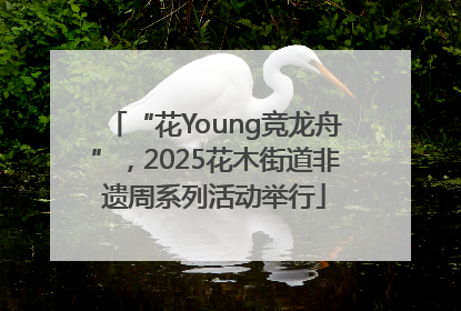 “花Young竞龙舟”，2025花木街道非遗周系列活动举行