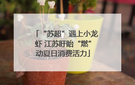 “苏超”遇上小龙虾 江苏盱眙“燃”动夏日消费活力